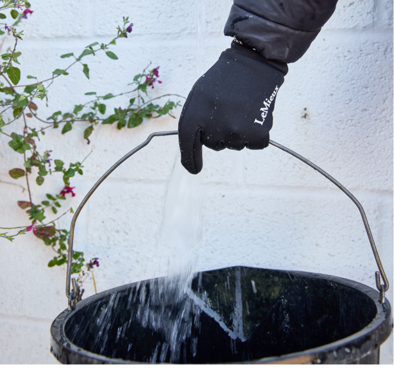 LeMieux x Sealskinz Lightweight Waterproof Glove - Black-1