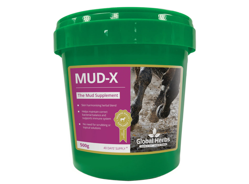 Global Herbs Mud-X
