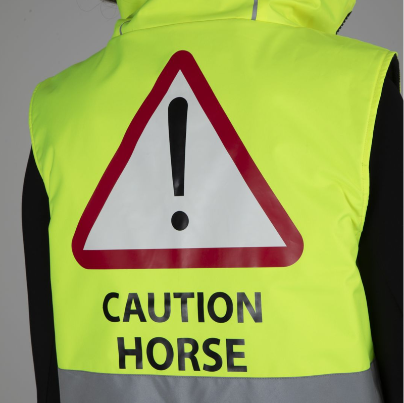 Shires EQUI-FLECTOR Ladies Gilet - Yellow-3