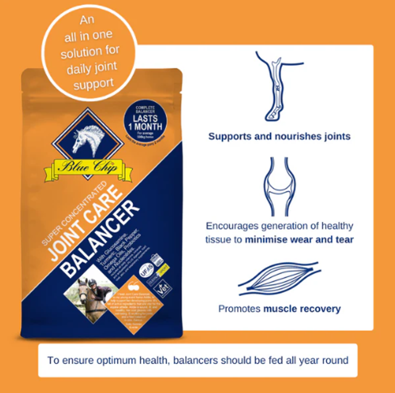 Blue Chip Equine Feed Joint Care Super Concentrated Feed Balancer - 3kg-2