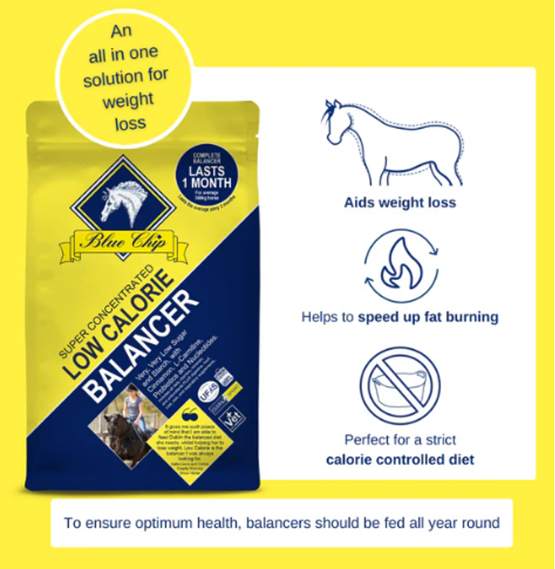 Blue Chip Equine Super Concentrated Low Calorie Feed Balancer - 3kg-1