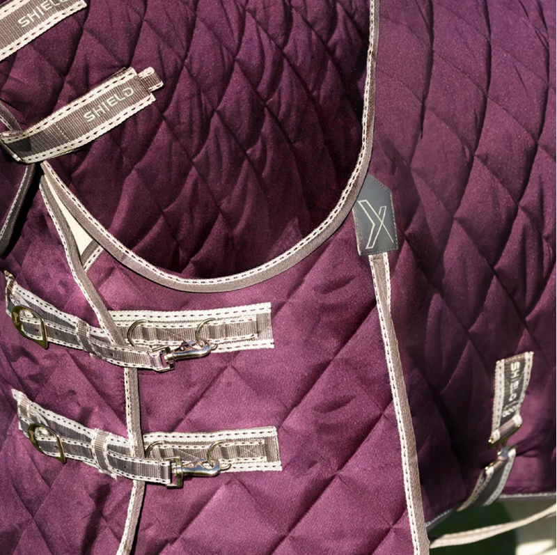 DefenceX Shield 300g Stable Rug With Detachable Neck - Purple-1