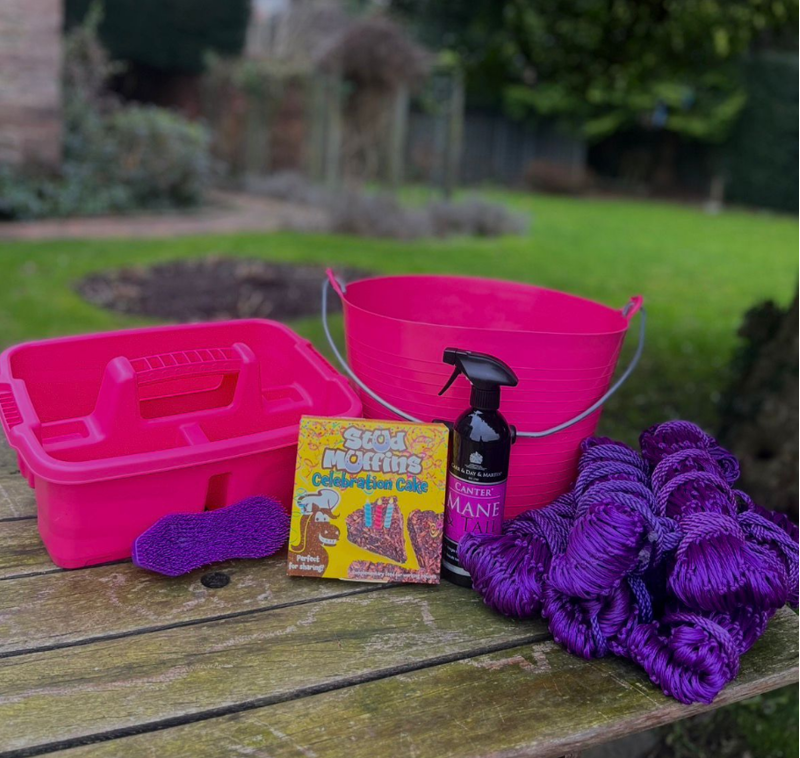 Hatton Park Yard Essentials Kit - Pink/Purple
