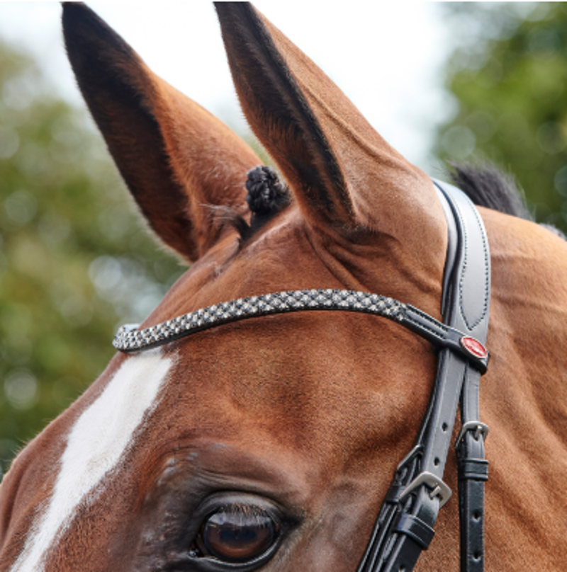 Whitaker BR078 Barton Bling Flash Bridle - Black-1