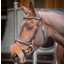 Shires Velociti Rapida Training Bridle - Havana