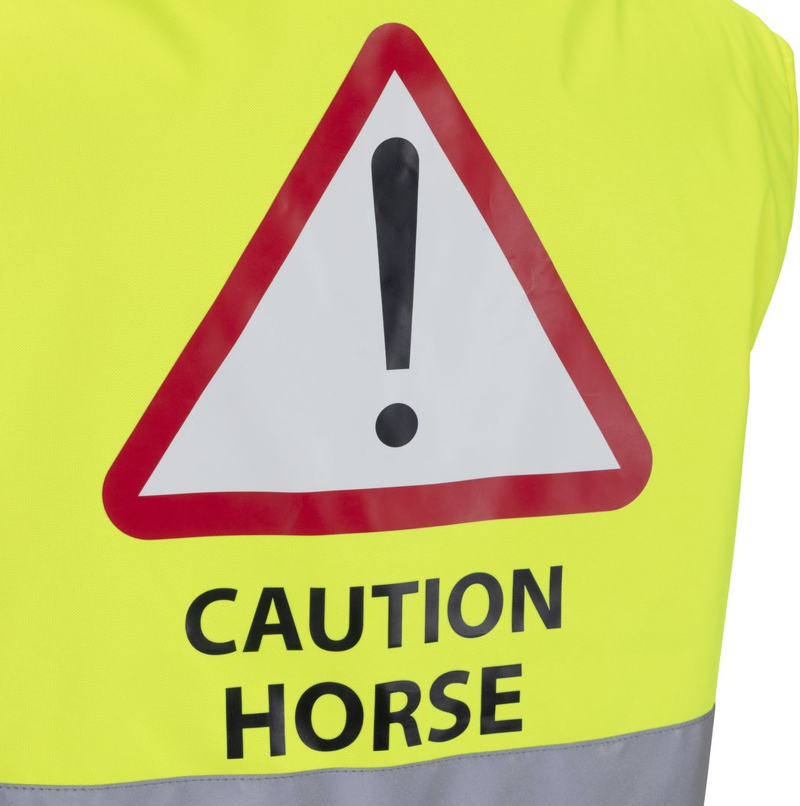 Shires EQUI-FLECTOR Children's Gilet - Yellow-3