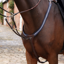 Shires Velociti LUSSO Opus Elastic Breastplate - Havanna