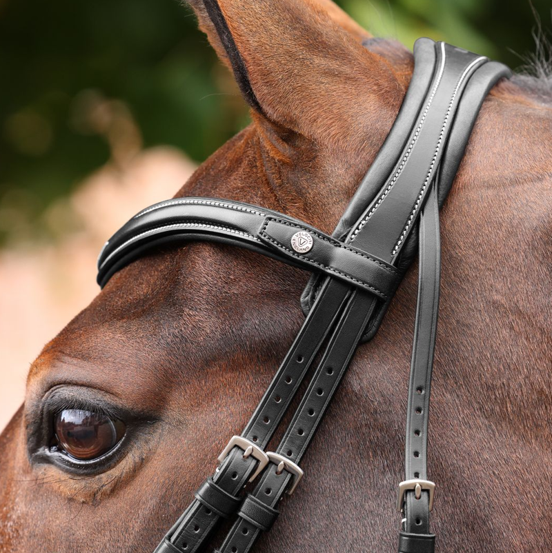 Shires Velociti LUSSO Opus Dressage Flash Bridle - Black-1