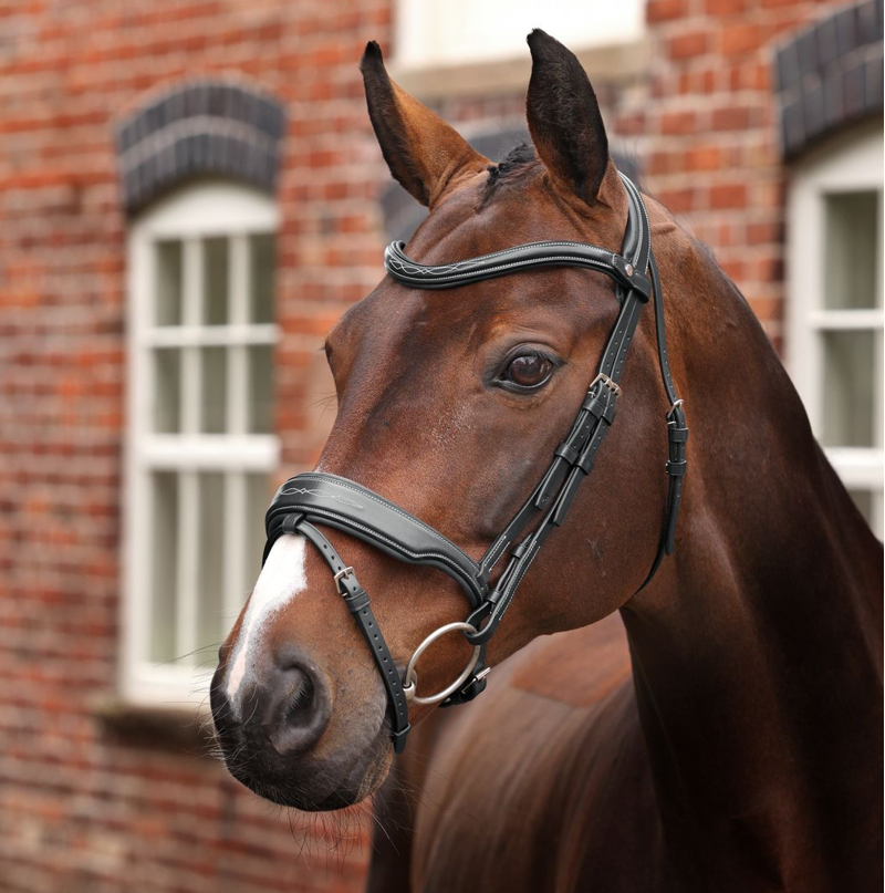 Shires Velociti LUSSO Opus Dressage Flash Bridle - Black