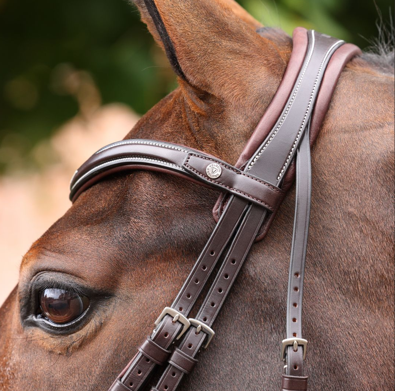 Shires Velociti LUSSO Opus Dressage Flash Bridle - Havana-1