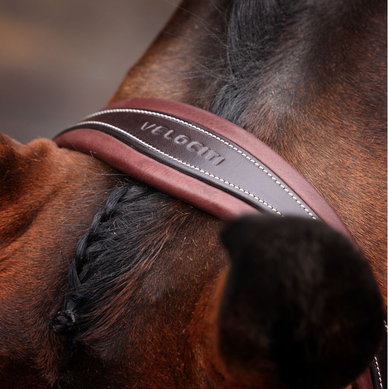 Shires Velociti LUSSO Opus Dressage Flash Bridle - Havana-2