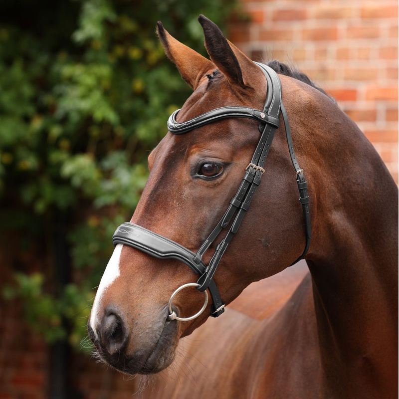 Shires Velociti LUSSO Opus Dressage Cavesson Bridle - Black