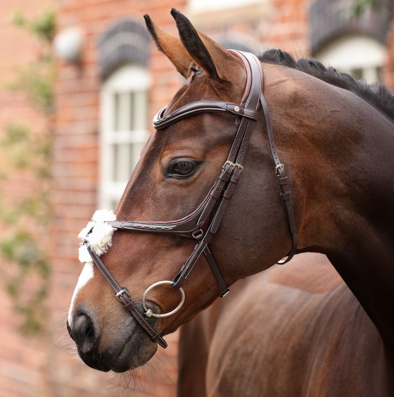 Shires Velociti LUSSO Opus Grackle Bridle - Havana