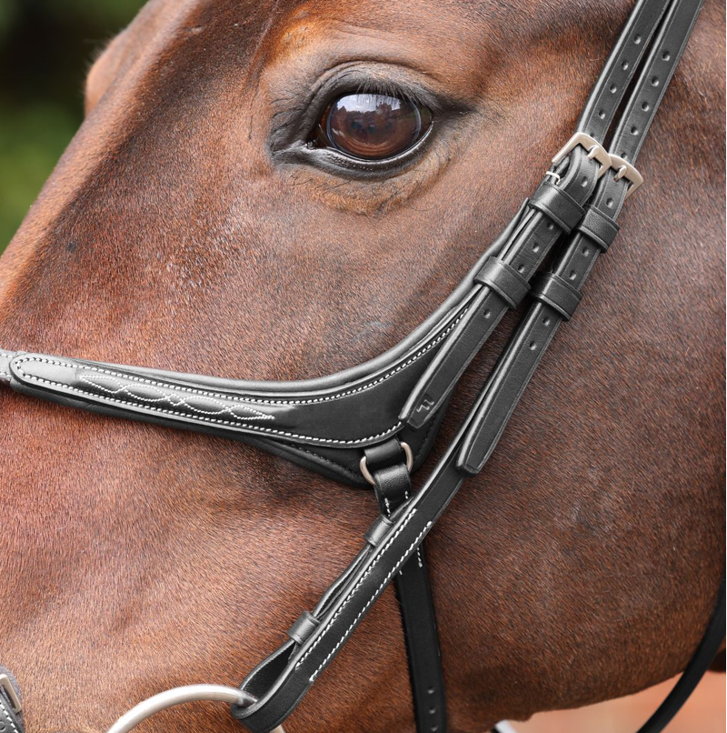 Shires Velociti LUSSO Opus Grackle Bridle - Black-2