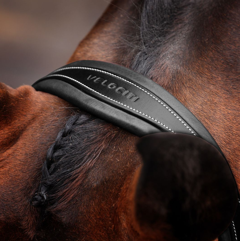 Shires Velociti LUSSO Opus Grackle Bridle - Black-4