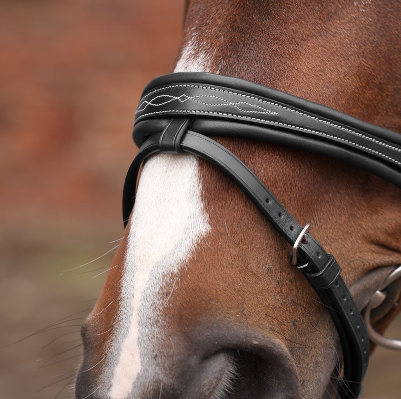 Shires Velociti LUSSO Opus Padded Flash Bridle - Black-1