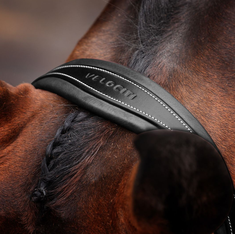 Shires Velociti LUSSO Opus Padded Flash Bridle - Black-2