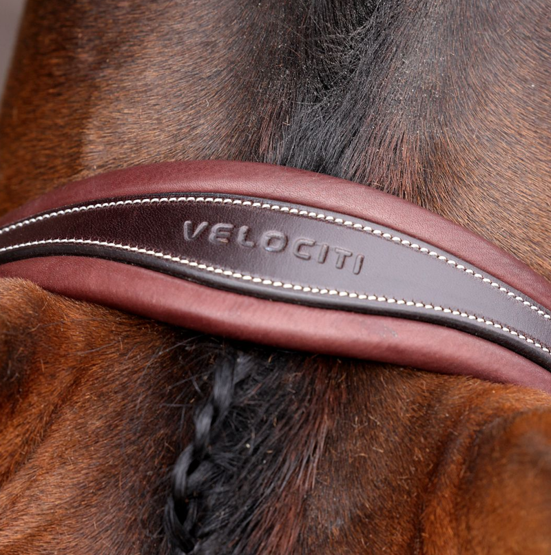 Shires Velociti LUSSO Opus Padded Flash Bridle - Havana-3