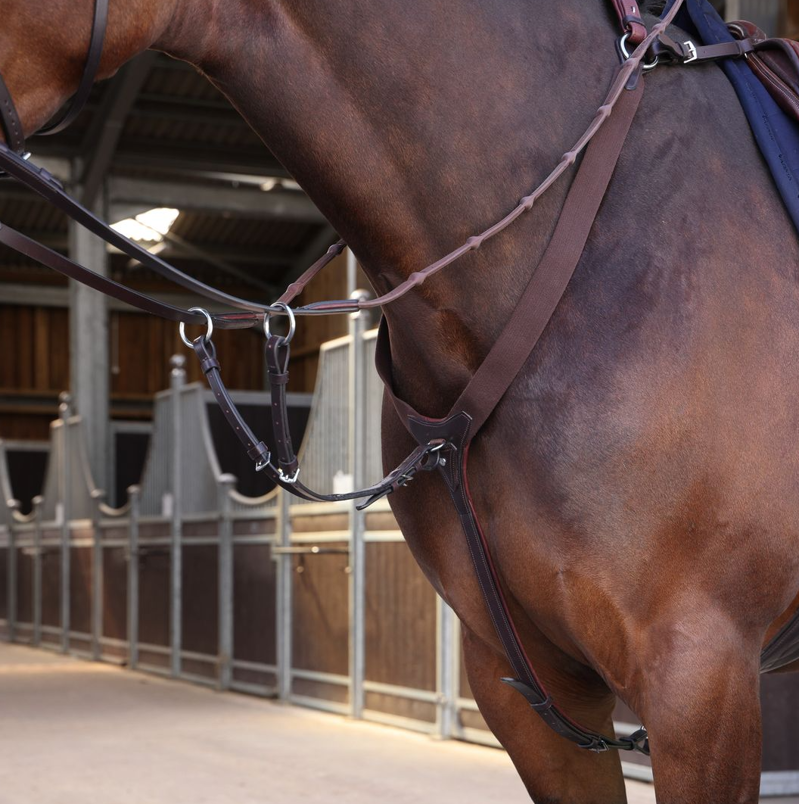 Shires Velociti LUSSO Elite Elastic Breastplate - Havana