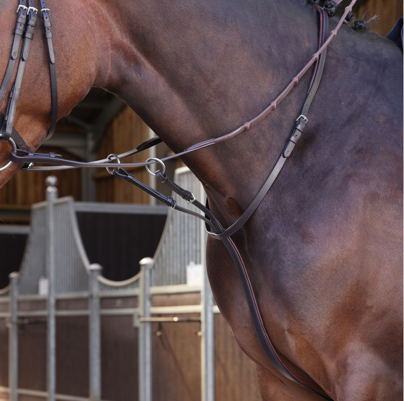 Shires Velociti LUSSO Elite Running Martingale - Havana