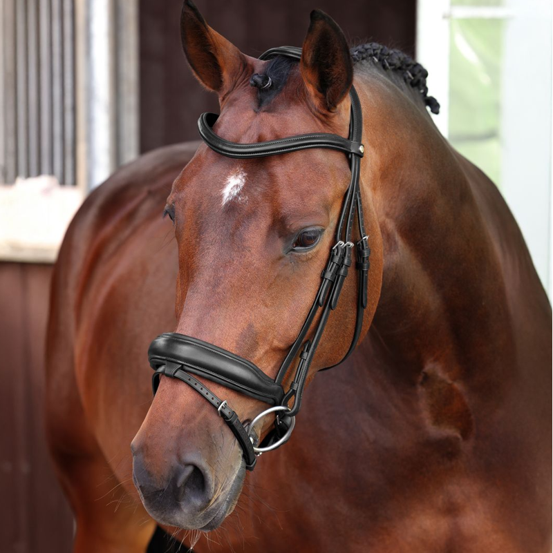 Shires Velociti LUSSO Elite Dressage Flash Bridle - Black