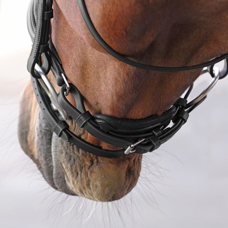 Shires Velociti LUSSO Elite Dressage Flash Bridle - Black-1