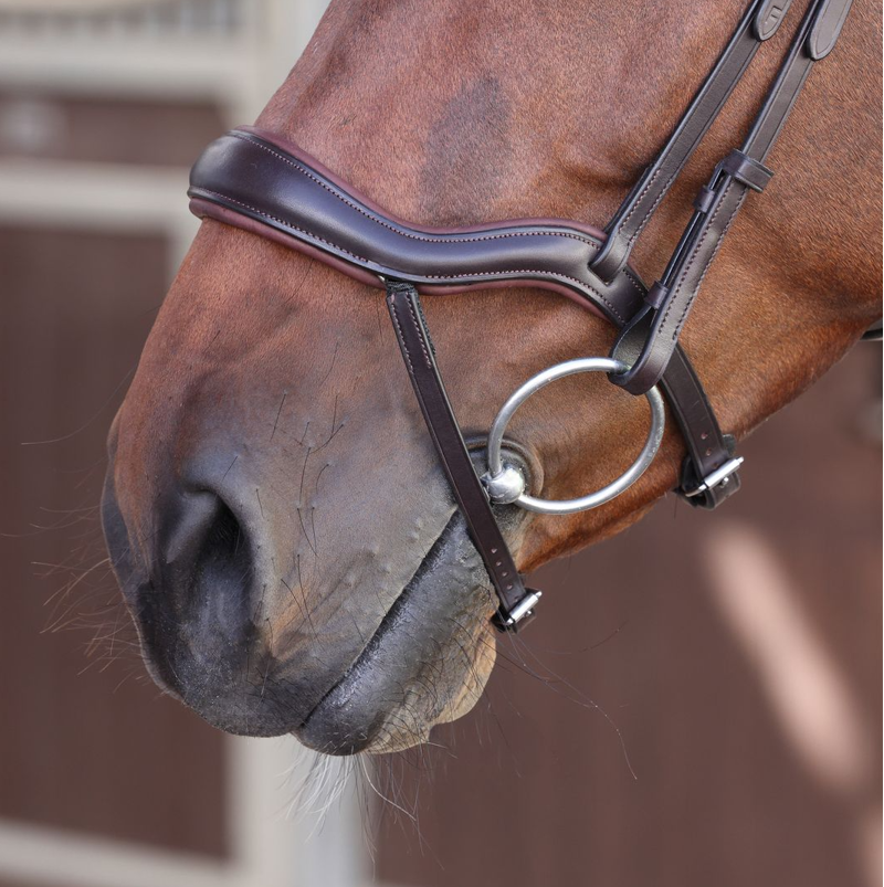 Shires Velociti LUSSO Elite Ergonomic Flash Bridle - Havana-1