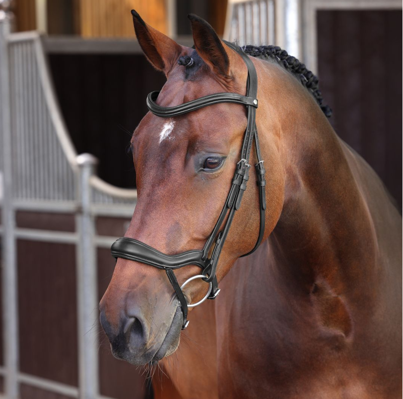 Shires Velociti LUSSO Elite Ergonomic Flash Bridle - Black