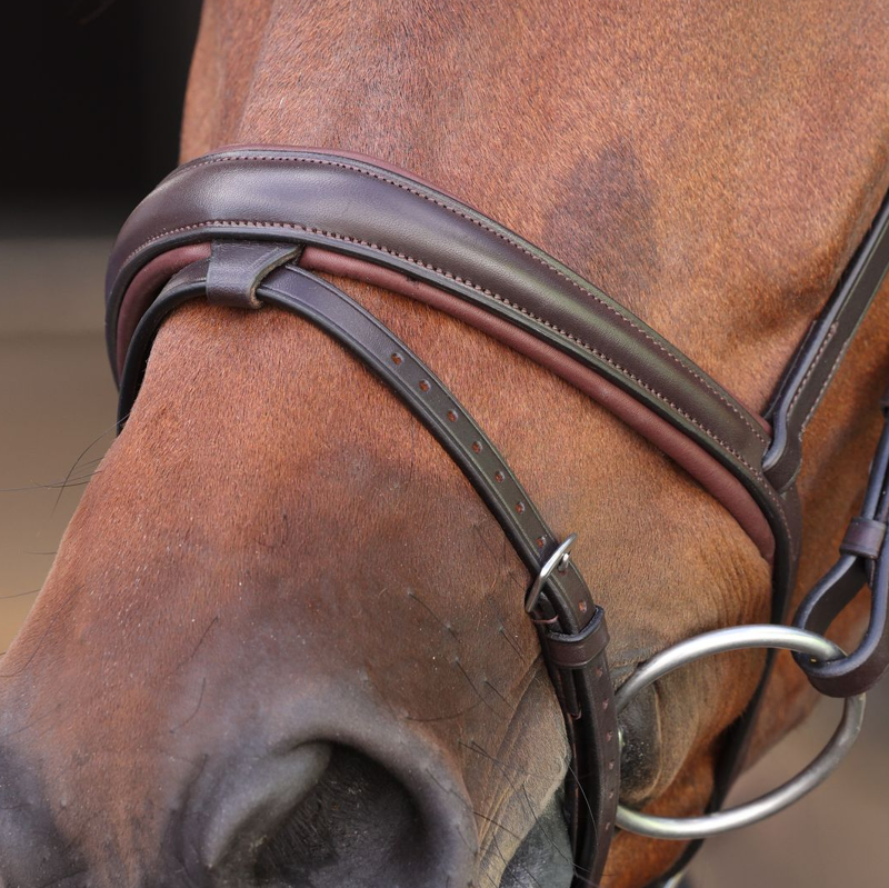 Shires Velociti LUSSO Elite Padded Raised Flash Bridle - Havana-1