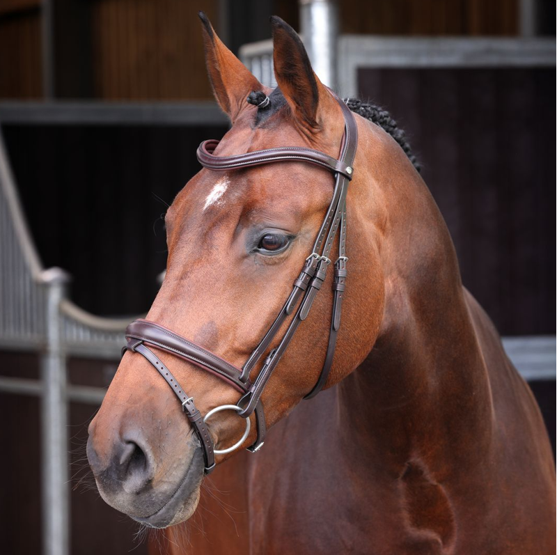 Shires Velociti LUSSO Elite Padded Raised Flash Bridle - Havana