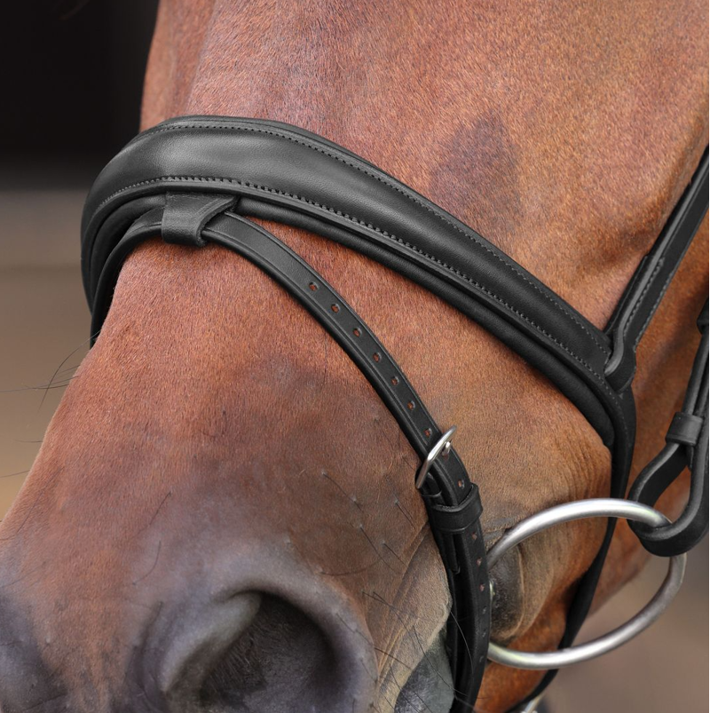 Shires Velociti LUSSO Elite Padded Raised Flash Bridle - Black-1