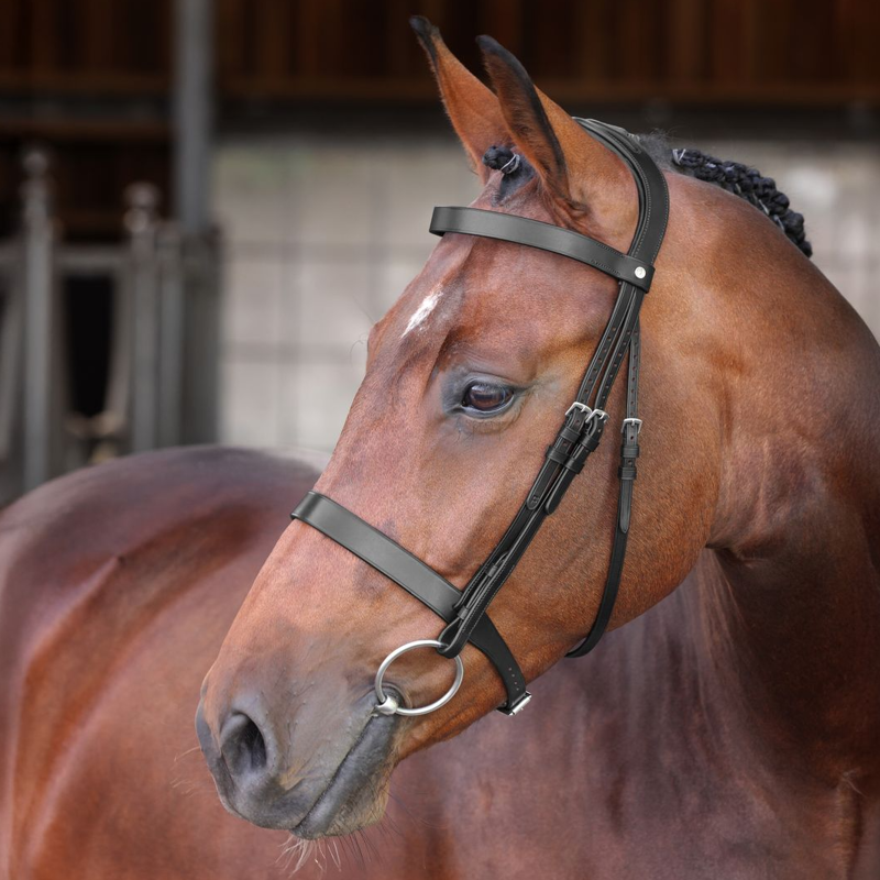 Shires Velociti LUSSO Elite Hunter Bridle - Black