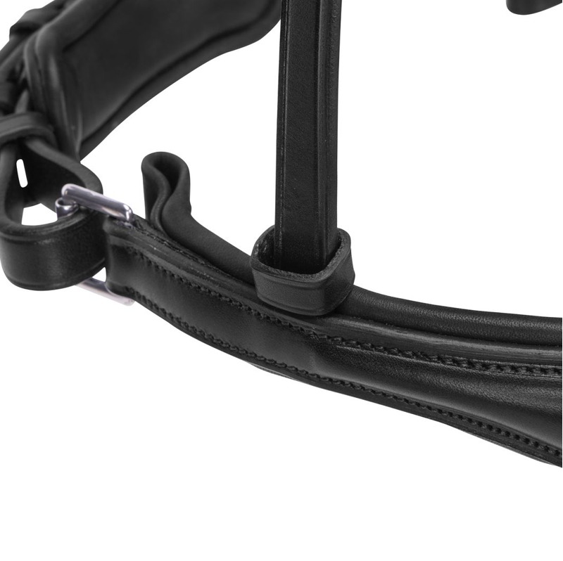 Shires Velociti LUSSO Elite Padded Cavesson Noseband - Black-1