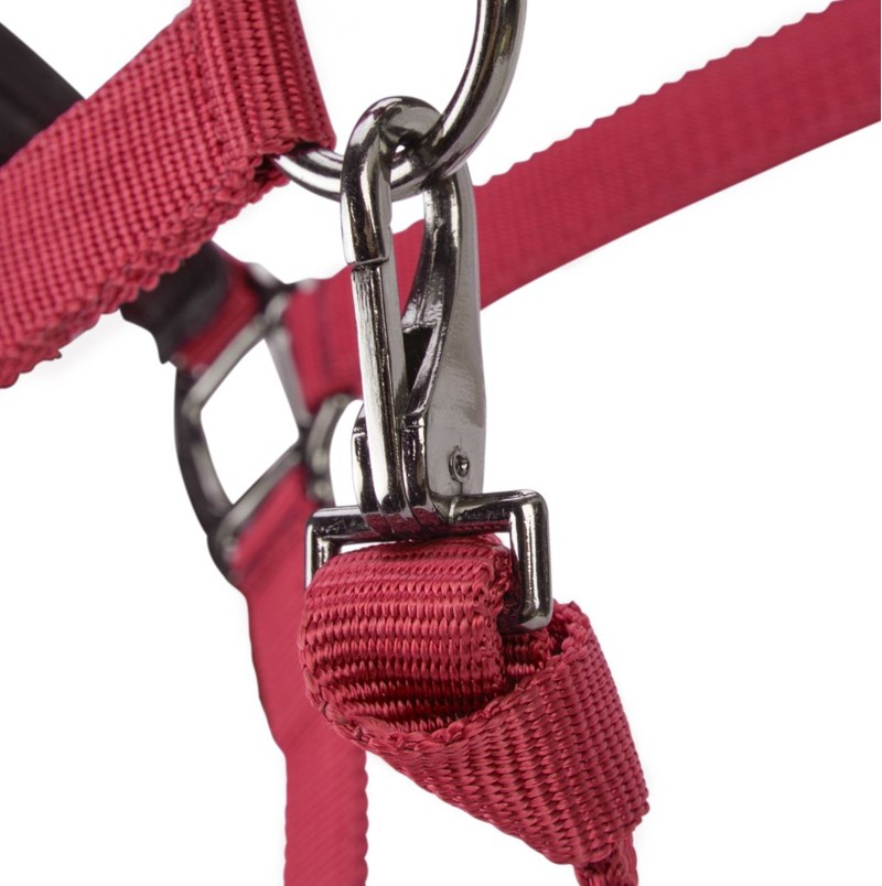 Shires ARMA Pro Padded Headcollar - Red-2