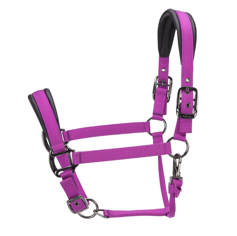 Shires ARMA Pro Padded Headcollar - Raspberry
