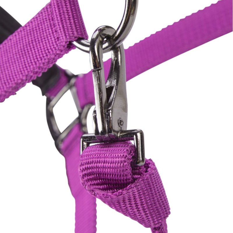 Shires ARMA Pro Padded Headcollar - Raspberry-1