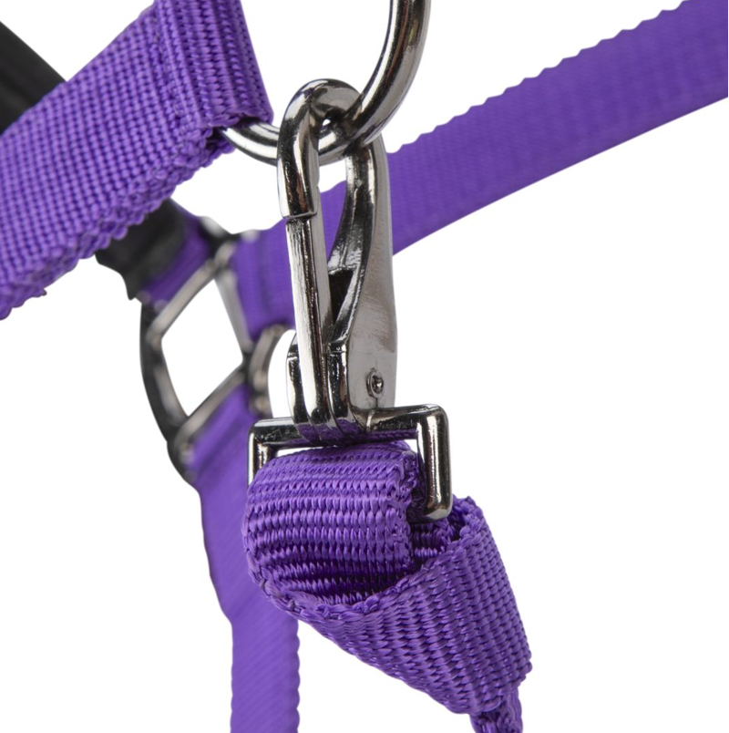 Shires ARMA Pro Padded Headcollar - Purple-2