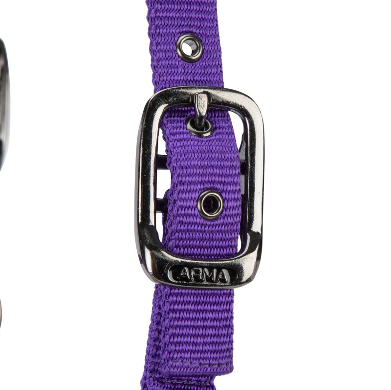 Shires ARMA Pro Padded Headcollar - Purple-1