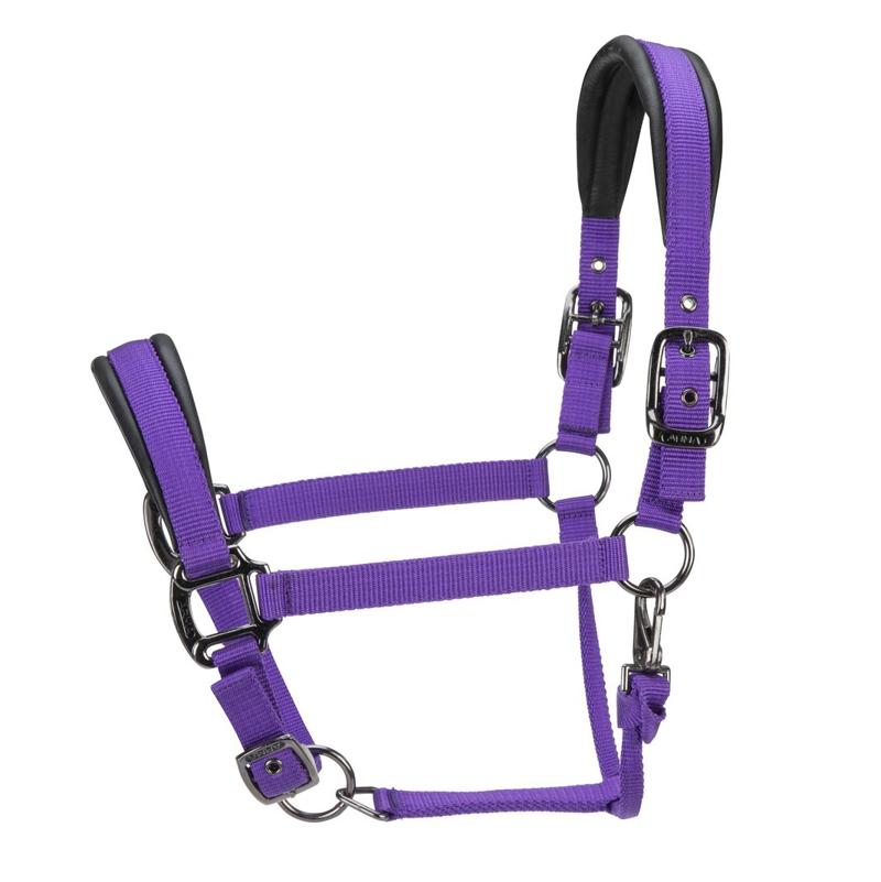 Shires ARMA Pro Padded Headcollar - Purple