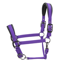 Shires ARMA Pro Padded Headcollar - Purple