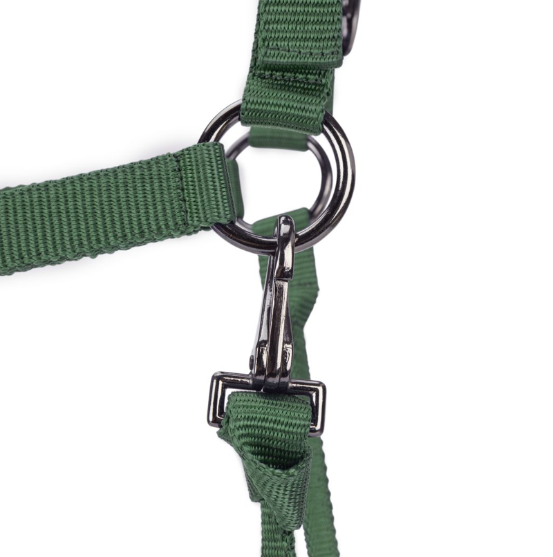 Shires ARMA Pro Padded Headcollar - Dark Green-2