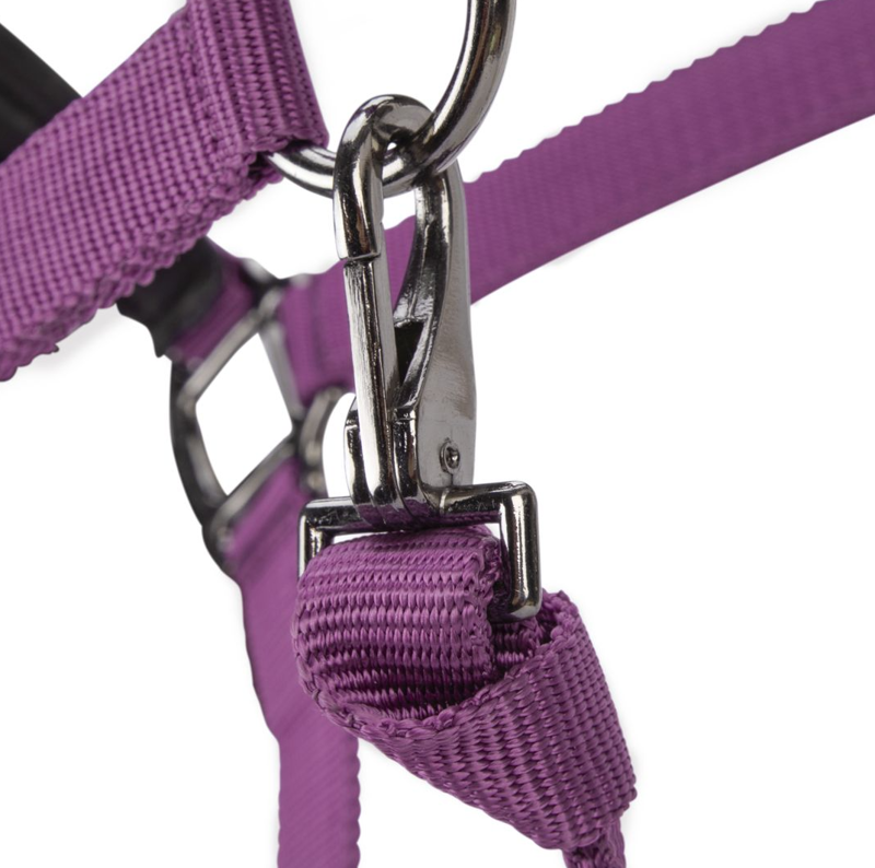 Shires ARMA Pro Padded Headcollar - Burgundy-2