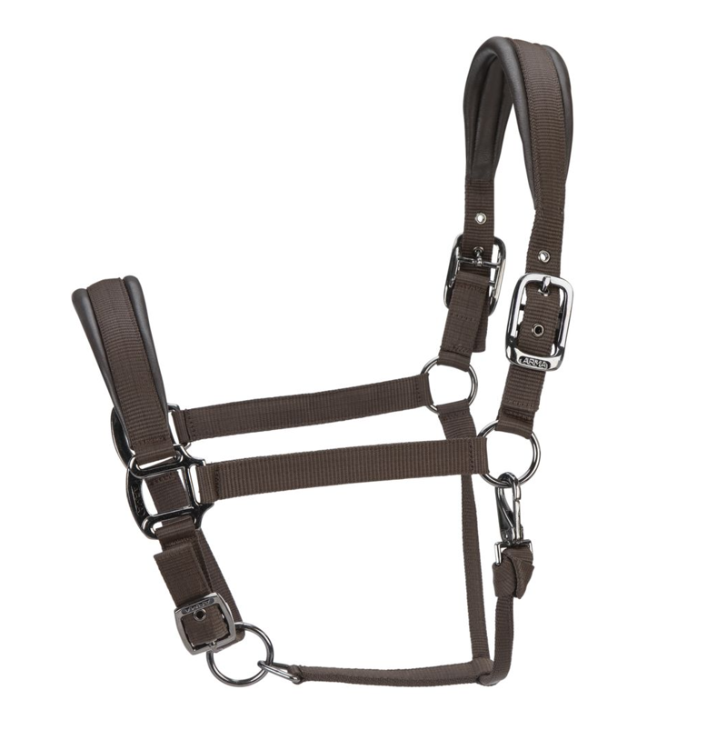 Shires ARMA Pro Padded Headcollar - Brown