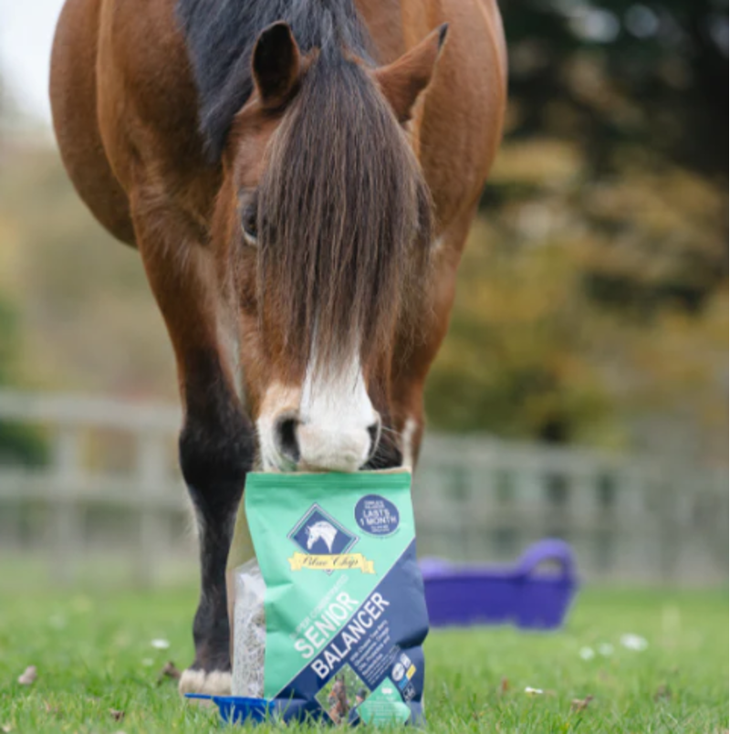 Blue Chip Feed Super Concentrated Senior Balancer - 3kg-2