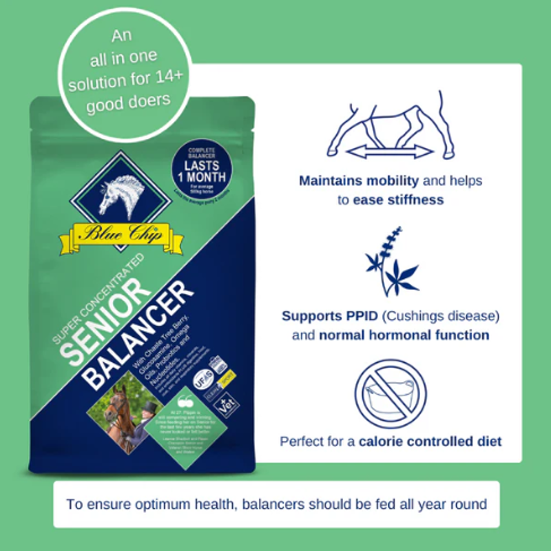 Blue Chip Feed Super Concentrated Senior Balancer - 3kg-1