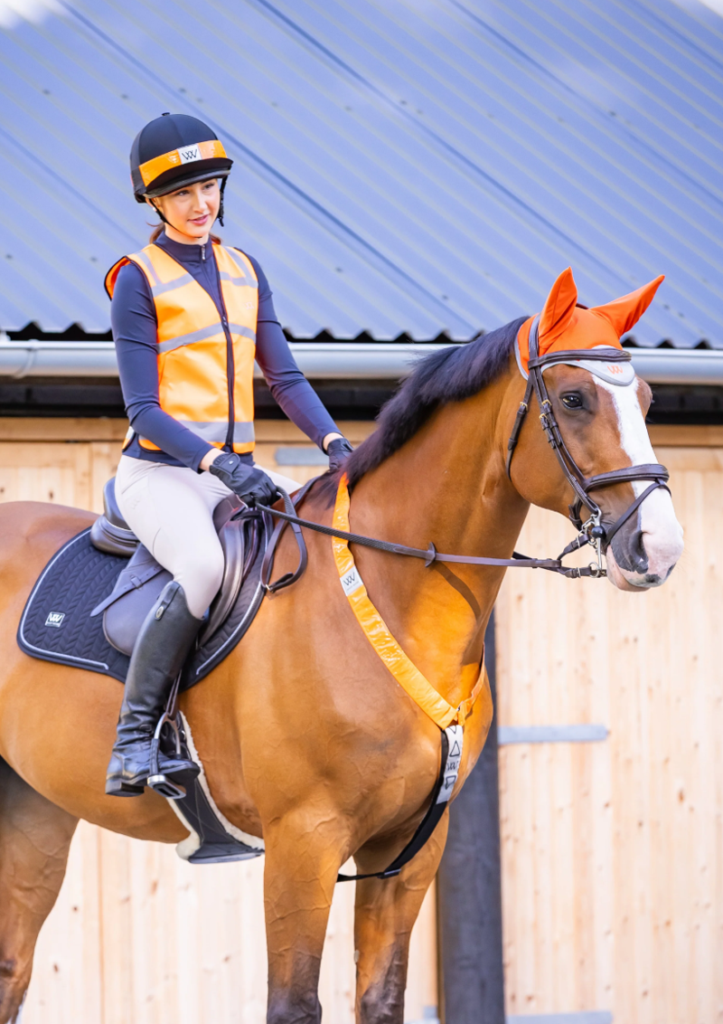 Woof Wear Hi Viz Hatband - Orange -1