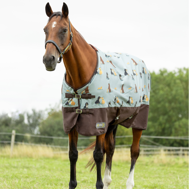 StormX Original It's A Dog's Life 50g Turnout Rug - Dusty Blue