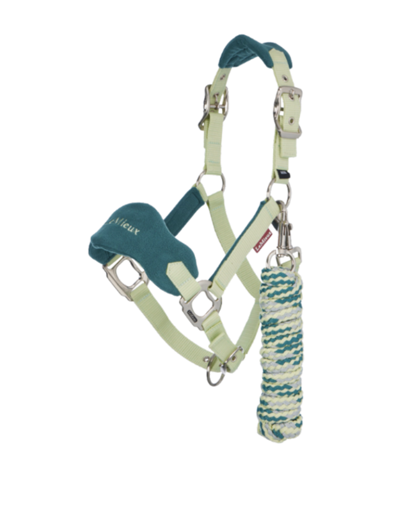 LeMieux Mini Vogue Headcollar and Leadrope - Macaron