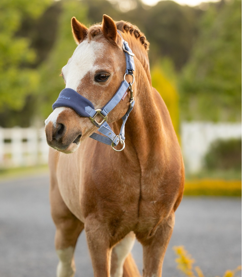 LeMieux Mini Vogue Headcollar and Leadrope - Powder Blue-1