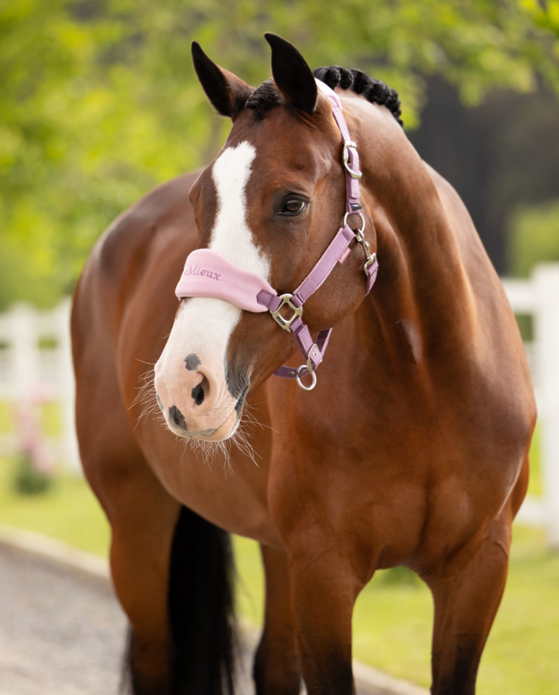 LeMieux Vogue Headcollar and Leadrope - Mallow-1